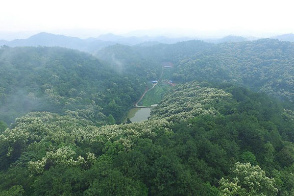 生产基地