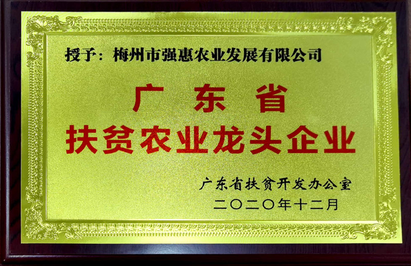 广东省扶贫农业龙头企业